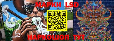 a pvp Дмитров