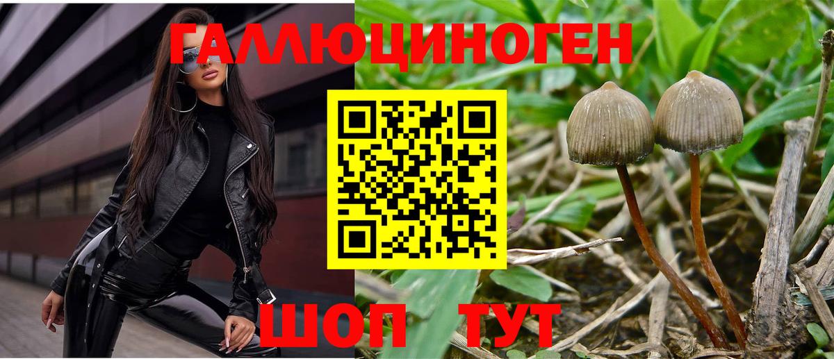 Галлюциногенные грибы MAGIC MUSHROOMS  Вход с VPN  Сочи 
